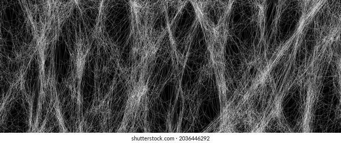 Realistic spider web background texture. Hanging cobweb for halloween design. Vector illustration