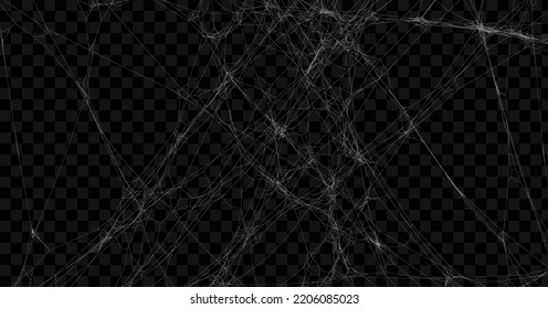 Realistic spider web background texture. Hanging cobweb for halloween design. Vector illustration