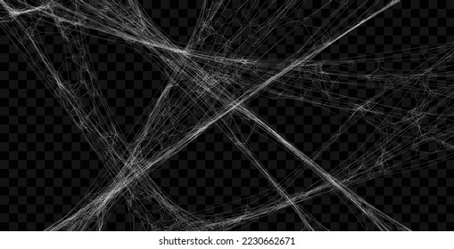 Realistic spider web background texture. Hanging cobweb for halloween design. Vector illustration