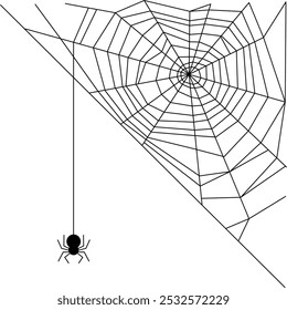 Realistic Spider Web Corner Vector. Halloween Background. Cobweb Illustration  on White Background. Spooky. Scary. Tricks or Treats.