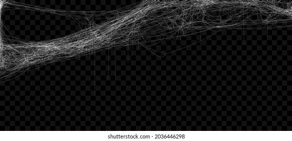 Realistic spider web. Hanging cobweb for halloween design. Vector illustration