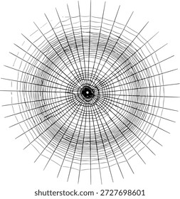 Ilustración vectorial realista del Web de la araña, telaraña circular detallada aislada en el fondo blanco, elemento espeluznante de la naturaleza de Halloween, red de seda intrincada, patrón geométrico