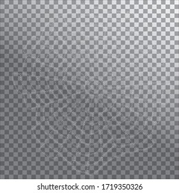 Realistic spider web with water drops on transparent background vector illustration