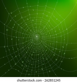 Realistic spider web with water drops on green background vector illustration