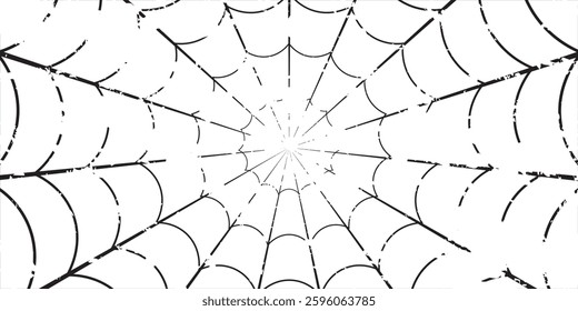 realistic Spider's web black background. vector