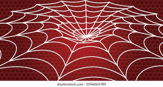 realistic Spider's web black background. vector