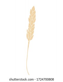 Realistic spikelet of wheat icon in isolate on a white background .Vector illustration.