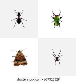 Realistic Spinner, Butterfly, Ant And Other Vector Elements. Set Of Bug Realistic Symbols Also Includes Ant, Insect, Green Objects.