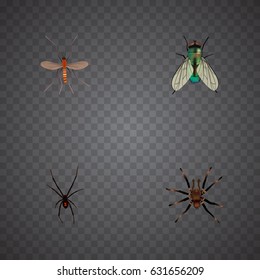 Realistic Spinner, Gnat, Arachnid And Other Vector Elements. Set Of Bug Realistic Symbols Also Includes Wasp, Housefly, Arachnid Objects.