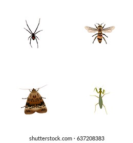 Realistic Spinner, Grasshopper, Butterfly And Other Vector Elements. Set Of Hexapod Realistic Symbols Also Includes Housefly, Spider, Spinner Objects.