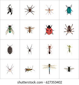 Realistic Spinner, Housefly, Damselfly And Other Vector Elements. Set Of Animal Realistic Symbols Also Includes Scorpion, Jewel, Housefly Objects.