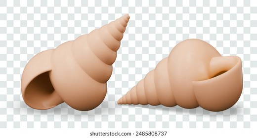 Realistic spiral seashell closeup. Vector model, view from different sides