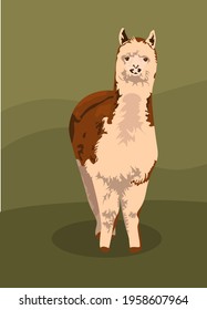 realistic spotted llama. alpaca wool. brown llama. farm animals. production of alpaca wool. isolated on natural green background. vector