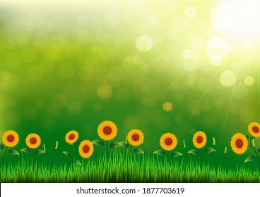 Realistic spring background. Sunflower and grass with nature bokeh background