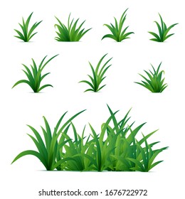 Realistic spring green grass isolated on white background. Vector nature elements for posters or advertisement. 