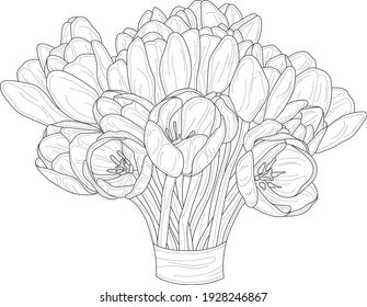 Realistic spring tulip flower bouquet sketch template. Graphic vector illustration in black and white for games, background, pattern, decor. Coloring paper, page, story book. Print for fabrics 