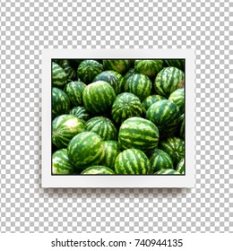 Realistic square photo frame with shadow isolated on transparent background. Screensaver from heap of green watermelons. Vector illustration
