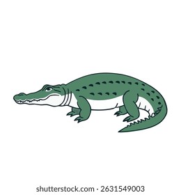 Realistic Standing Alligator Vector Illustration on White Background (Side Profile)