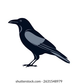 Realistic Standing Crow Vector Illustration on White Background (Side Profile)