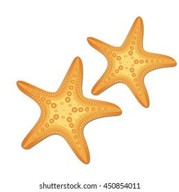 Realistic Starfish in White Background