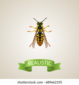 Realistic Sting Element. Vector Illustration Of Realistic Bee Isolated On Clean Background. Can Be Used As Bee, Wisp And Sting Symbols.