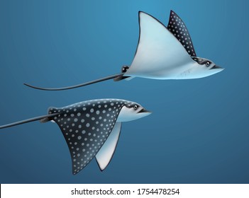 Realistic stingrays flapping their sides under deep water, 3d illustration