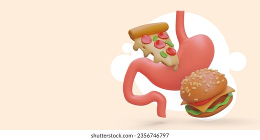 Realistic stomach and fast food. Fat pizza, big hamburger. Load on digestive system. Unhealthy, junk food. Difficult to digest street food. Vector template