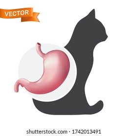 Realistic stomach organ on the cat animal silhouette. Digestive system vector icon of domestic pet isolated on white background