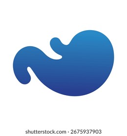 Visualização estomacal realista isolada sobre fundo branco