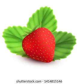 Realistic strawberry with leaves and shadow on white background