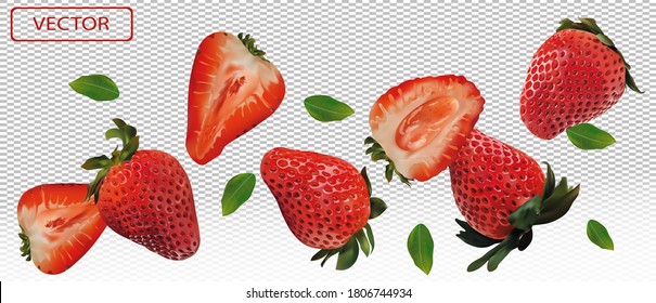 Realistic strawberry on transparent background. Whole strawberries, sliced strawberries with with green leaves. Illustration for your poster, banner, natural product. 3D vector illustration.