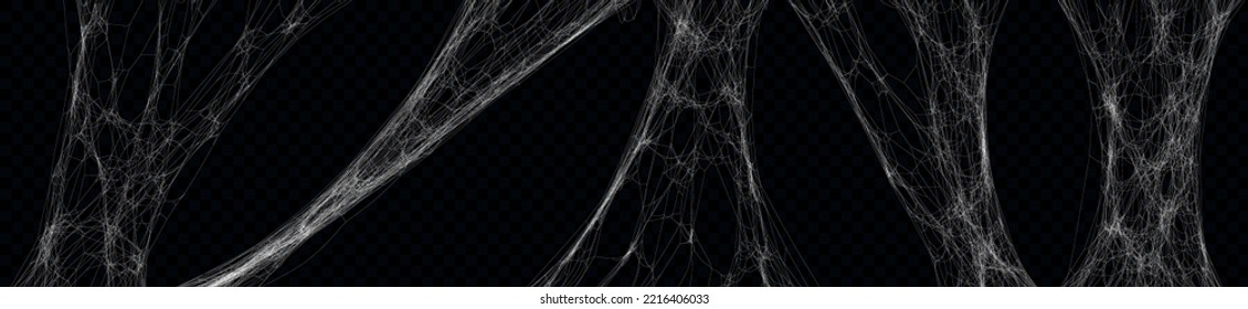 Realistic stretched spider web set. Vector hanging cobweb illustration for halloween design