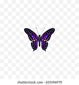 Realistic Striped Purple Crow Element. Vector Illustration Of Realistic Polyommatus Icarus Isolated On Clean Background. Can Be Used As Violet, Purple And Butterfly Symbols.