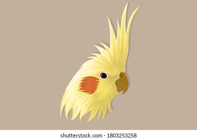 Realistic style crested cockatoo hand drawing