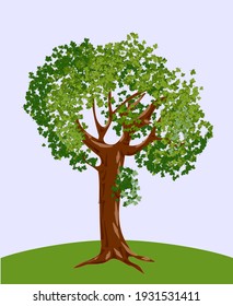 Realistic style old branched tree on a hilltop. Vector illustration.