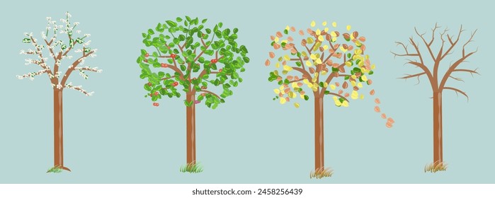 Realistische Stil-Vektorillustration eines jungen Baumes in allen 4 Jahreszeiten: Frühling, Sommer, Herbst und Winter. Isoliert auf gleichmäßigem Hintergrund.