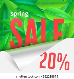 realistic style vector template with green spring leaves and sale word