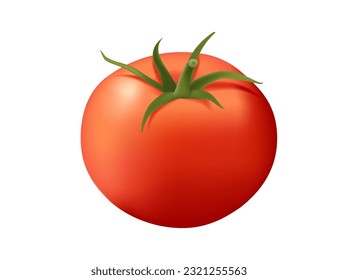 Realistic style whole sweet tasty tomato vegetable with green leaves vector illustration isolated on white background