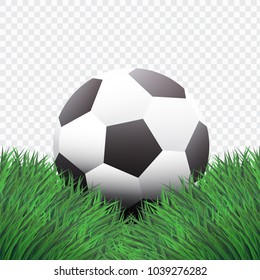Realistic Style,Classic Football or Soccer on Green Grass 