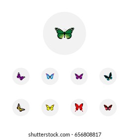 Realistic Summer Insect, Archippus, Bluewing And Other Vector Elements. Set Of Beauty Realistic Symbols Also Includes Red, Butterfly, Green Objects.