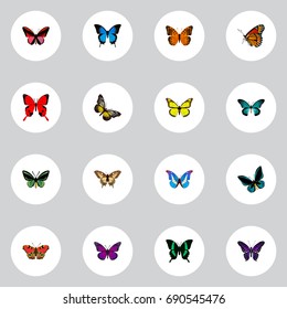 Realistic Summer Insect, Beauty Fly, Tropical Moth And Other Vector Elements. Set Of Butterfly Realistic Symbols Also Includes Blue, Purple, Bluewing Objects.