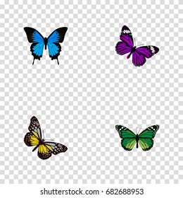 Realistic Summer Insect, Common Blue, Birdwing And Other Vector Elements. Set Of Beauty Realistic Symbols Also Includes Yellow, Purple, Beautiful Objects.
