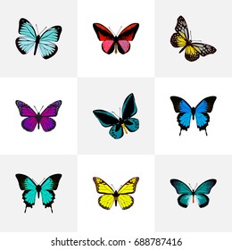 Realistic Summer Insect, Common Blue, Demophoon And Other Vector Elements. Set Of Beauty Realistic Symbols Also Includes Beauty, Monarch, Violet Objects.