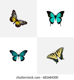 Realistic Summer Insect, Copper, Checkerspot And Other Vector Elements. Set Of Butterfly Realistic Symbols Also Includes Yellow, Butterfly, Swallowtail Objects.