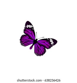 Realistic Summer Insect Element. Vector Illustration Of Realistic Butterfly Isolated On Clean Background. Can Be Used As Butterfly, Purple And Beautiful Symbols.