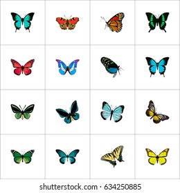 Realistic Summer Insect, Milkweed, Hairstreak And Other Vector Elements. Set Of Beauty Realistic Symbols Also Includes Blue, Monarch, Green Objects.