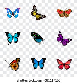 Realistic Summer Insect, Papilio Ulysses, Bluewing And Other Vector Elements. Set Of Beauty Realistic Symbols Also Includes Blue, Monarch, Peacock Objects.