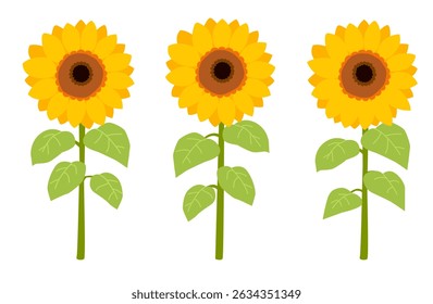 Realistische Sommer Sonnenblumen Vektorgrafik 