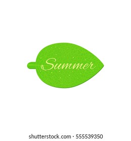 Realistic summer vector icon.Green leaf isolated.