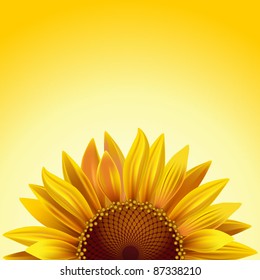 Realistic sunflower on a sunny background with copy space